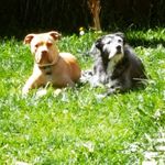 Profile Picture of Shelley Matheson 🇨🇦 (@shelbygirl1968) on Instagram