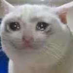 Profile Picture of 🕯Tomas🕯 (@tomas_cantu2) on Instagram