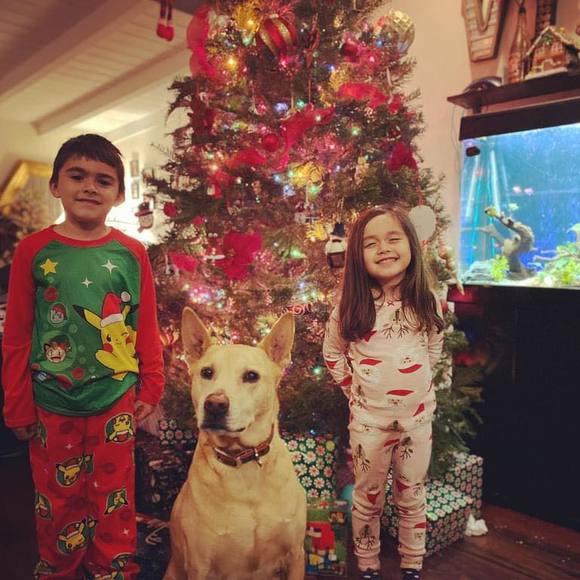 Profile Picture of John-paul Bruno (@mcbaseball09) on Poshmark