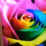 Profile Picture of Nancy Gumbs (@gumbsnancy) on Instagram