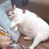 Profile Picture of Brady Brantley (@@bradybrantley) on Tiktok