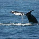 Profile Picture of Derek Gower (@derek.j.gower) on Instagram