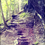 Profile Picture of Vincent Ward (@vincentward2230) on Youtube