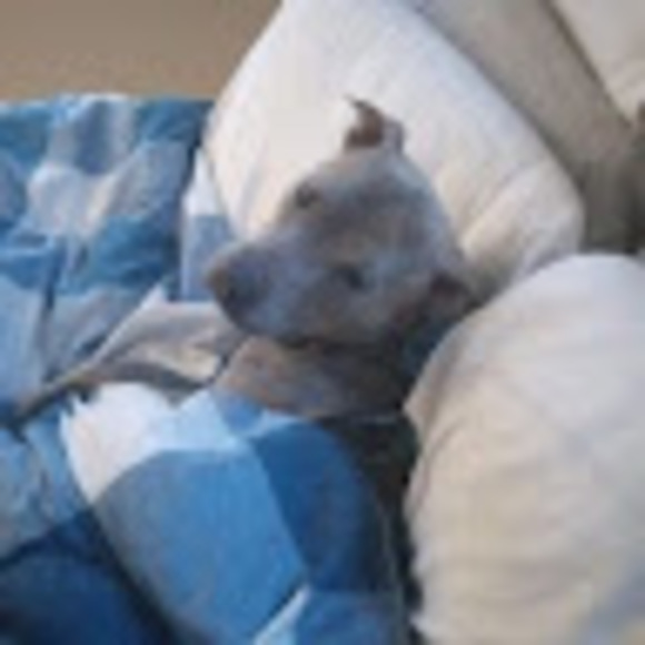 Profile Picture of Michael Morin (@michaelmorin517) on Poshmark