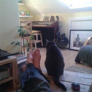 Profile Picture of Chris Pogue (@chrispogue4) on Twitter