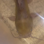 Profile Picture of Jeff Daniels (@jeffdaniels6425) on Youtube