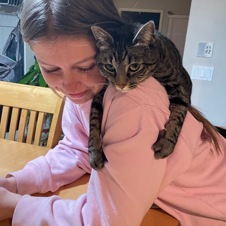 Profile Picture of taylor (@taylorshogren) on Tiktok