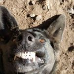 Profile Picture of Chad Sisk (@chad.sisk.14) on Instagram