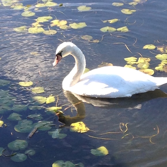 Profile Picture of Heide Woelfel (@hmwoelfel) on Poshmark