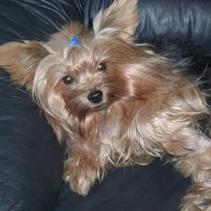 Profile Picture of Jacqueline Jacobsen (@aejandra49) on Twitter