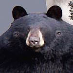 Profile Picture of Allen VanAtter II (@allenv12) on Instagram