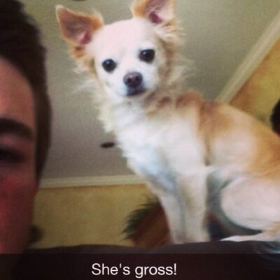 Profile Picture of David Kates (@DavidJKates) on Twitter