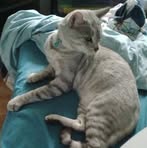 Profile Picture of Lara Swalens (@lala2728) on Facebook