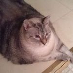 Profile Picture of Kim Alsup (@kim.alsup.39) on Instagram