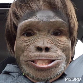 Profile Picture of Jacob Piggott (@Jacob-Piggott) on Facebook
