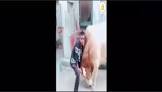 Profile Picture of   Buggs (@buggs07) TikTok |... (@buggs07) on Tiktok