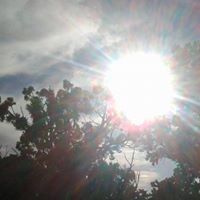 Profile Picture of Mike Roland (@miker0620) on Pinterest