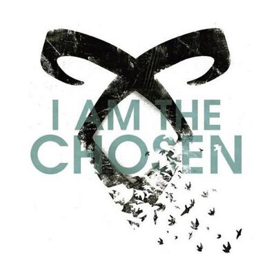 Profile Picture of Luke Hoffmann (@Luke_Hoffmann) on Twitter