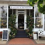 Profile Picture of Jody & Michaline (@mysticalblossoms) on Instagram