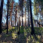 David Kepfer - Instagram Profile Picture of David Kepfer (@davidkepfer.2) on Instagram