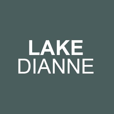 Profile Picture of Lake Dianne (@Lake_Dianne_) on Twitter