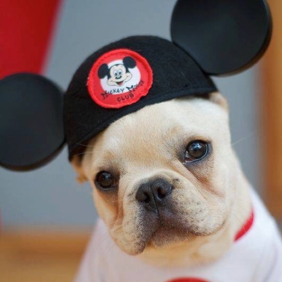 Michelle Montanye - Poshmark Profile Picture of Michelle Montanye (@michelle6797) on Poshmark