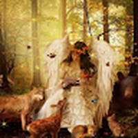 Profile Picture of Sofia Mohammad (@sofia-mohammad-9) on Quora