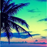 Profile Picture of Cora Clement (@cora-clement) on Quora