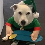 John Orbell - Facebook Profile Picture of John Orbell (@john.orbell.1) on Facebook