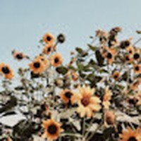 Profile Picture of Eleanor Hayes (@eleanor-hayes-25) on Quora