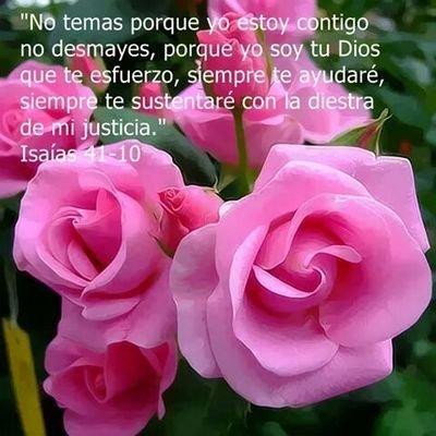 Profile Picture of Isabel Cañas (@isabelca152) on Twitter