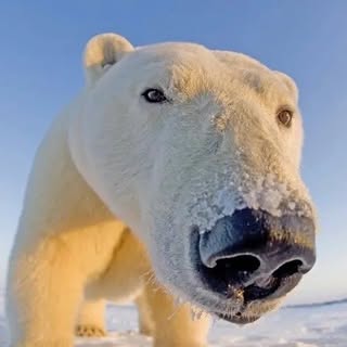 Ben - Instagram Profile Picture of Ben (@bensaddler) on Instagram