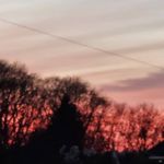 Profile Picture of Lynette Crellin Sheehan (@lynette_avon_beauty) on Instagram