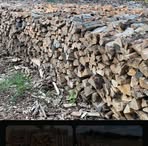 Profile Picture of Jonathan Laframboise (@jonathan.laframboise.37) on Facebook