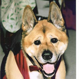 Kevin Greenly - Facebook Profile Picture of Kevin Greenly (@kevin.greenly.7) on Facebook