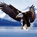 Profile Picture of Michel Marrier d'Unienville (@michelmarrierdunienville) on Instagram