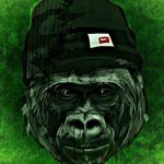 Profile Picture of Cameron Mckenna😎 (@cammy951) on Instagram