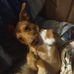 Profile Picture of Michael Pentecost (@michael.pentecost.184) on Facebook