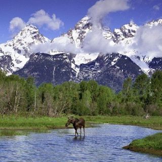 Profile Picture of Sam Beaver (@Sam-Beaver) on Facebook