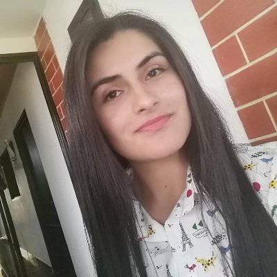 Profile Picture of Lisa Fernanda Motta Castañeda (@motta_castaneda) on Twitter