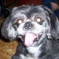 Profile Picture of Mary Kropaczek (@mary-kropaczek) on Quora
