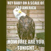 Profile Picture of Michael Ennis (@michaelennis8272) on Youtube