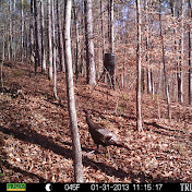 Profile Picture of Lance Mullins (@lancemullins880) on Youtube