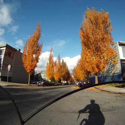 Profile Picture of David Weismiller (@BikeNamedAthena) on Twitter