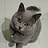Profile Picture of Kevin (@Kevin's Eye) on Flickr