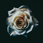 Profile Picture of 𝒞ℯ𝒸𝒾𝓁𝒾𝒶 ℛ𝒶𝓂𝒾𝓇ℯ𝓏 (@cece_ram) on Instagram
