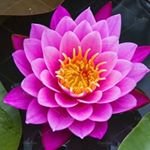 Profile Picture of Cassandra Bishop (@cassieb3842) on Instagram