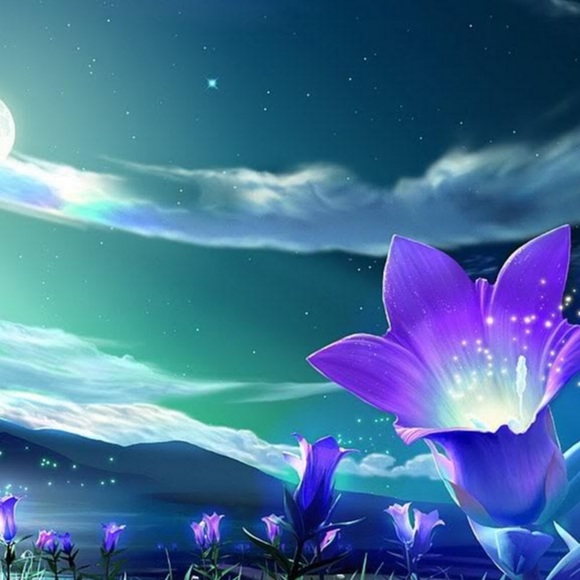 Profile Picture of Stephanie Suida (@stephaniesuida) on Poshmark