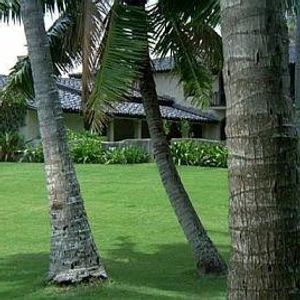 Profile Picture of Mark Belluscio (@373876170) on Myspace