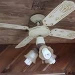 Profile Picture of Mitchell Mathew (@mitchell.mathew.528) on Instagram